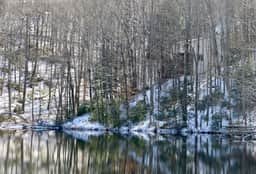 LallyBroch on the Lake by Mountain Oasis | Lakefront Cabin - Image 4