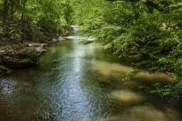 Dancing Waters by Mountain Oasis | Riverfront Cabin in Ellijay - Image 5