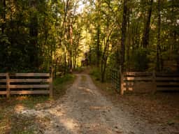 Southern Grace by Mountain Oasis | Creekfront Trout Fishing - Image 2