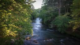 Rushing River Lodge by Mountain Oasis | Rustic Cabin on Cartecay - Image 3