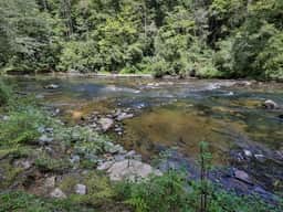 River Spirit by Mountain Oasis | Creekfront Trout Fishing - Image 5