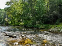 River Spirit by Mountain Oasis | Creekfront Trout Fishing - Image 3