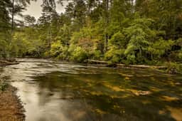 Grand Slam Riverhouse by Mountain Oasis | Riverfront Cabin - Image 5