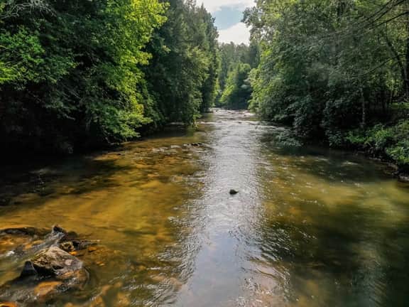 Brown Trout Lodge by Mountain Oasis | Fightingtown Creek Retreat - Image 4