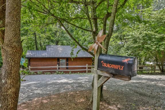 Dragonfly on the Cartecay by Mountain Oasis | Riverfront Cabin - Image 3