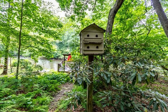 Dragonfly on the Cartecay by Mountain Oasis | Riverfront Cabin - Image 5