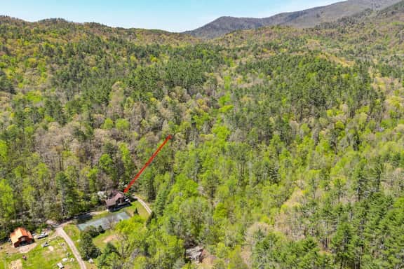Yogi's Hideaway- Bear Creek & Pinhoti Trails, Pickleball - Image 5