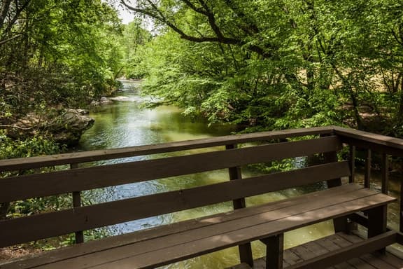 Dancing Waters by Mountain Oasis | Riverfront Cabin in Ellijay - Image 1