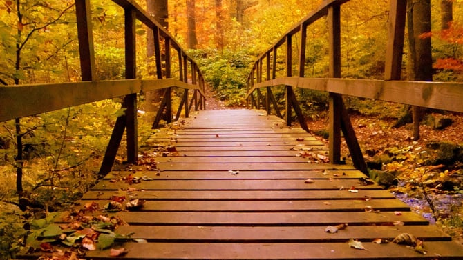 Discover North Georgia’s Stunning Fall Foliage