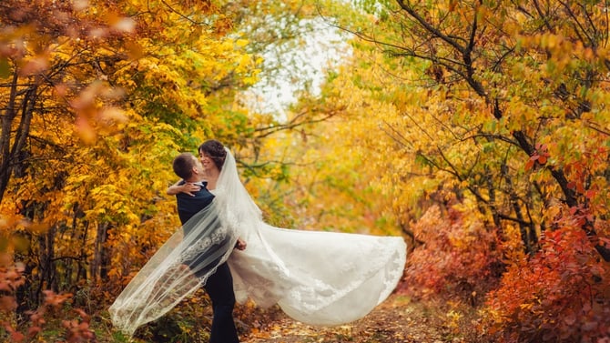 Plan an Autumn Wedding in the North Georgia Mountains