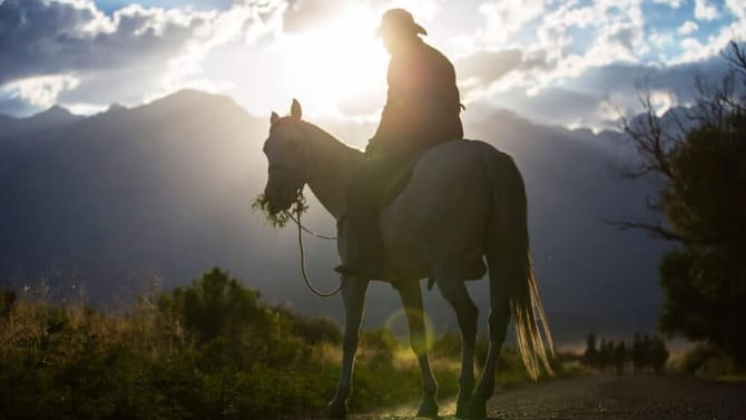 Horseback Riding near Blue Ridge, GA