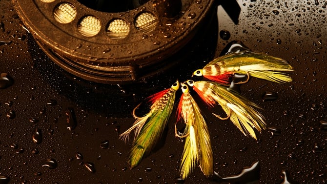 Experience Ellijay Fishing