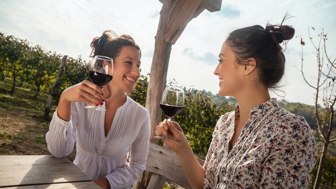 A Handy Guide to the Best North Georgia Vineyards