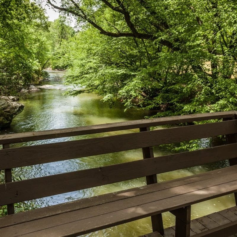 Dancing Waters by Mountain Oasis | Riverfront Cabin in Ellijay